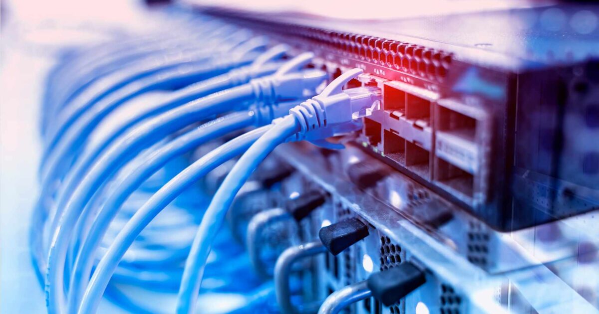 Blue network cables connected to a server for IT maintenance support, illustrating Piccola Tech Support Services.