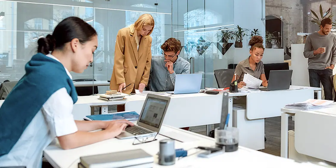 Office team collaborating during Microsoft 365 setup and implementation for a small business